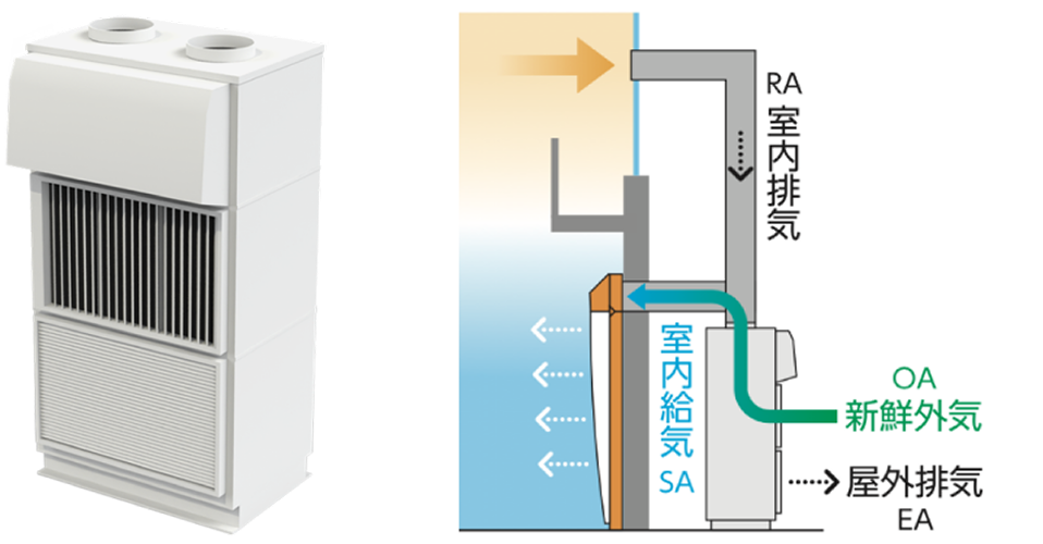 フレッシュクール