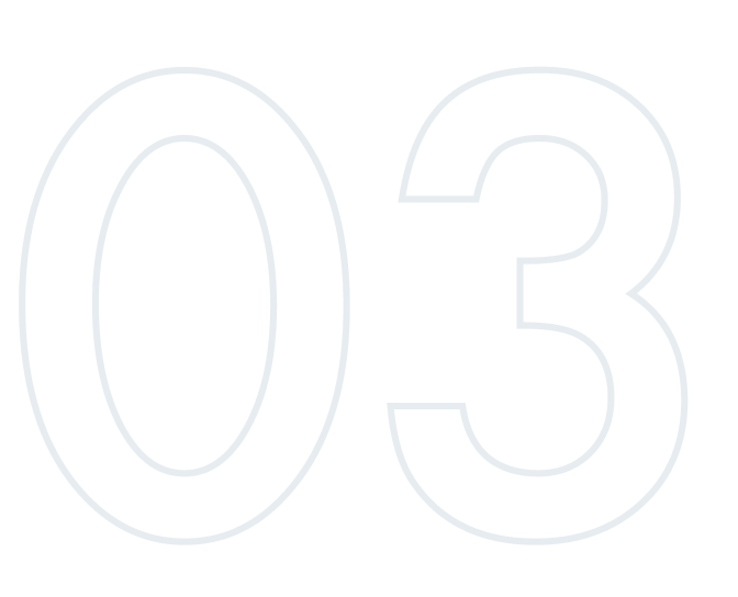 03